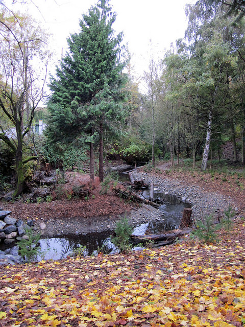 Thornton Creek Natural Area creek and path