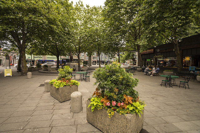 Tilikum Place plantings