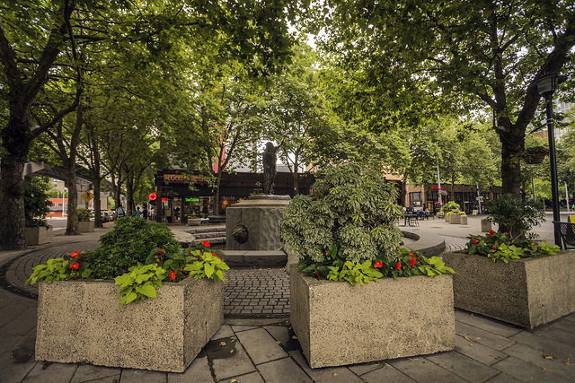 Tilikum Place flowers and fountain