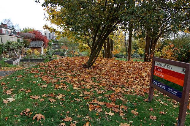 Trolley Hill Park fall leaves and sign