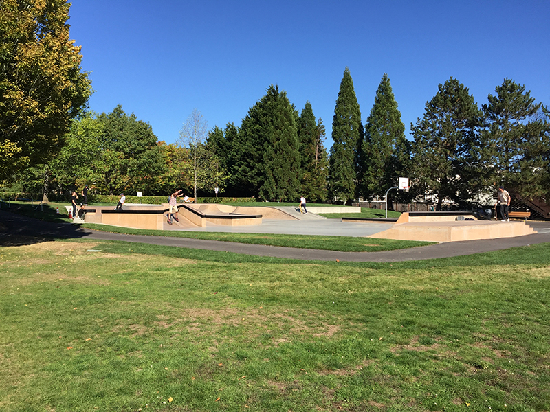 Skate park at Virgil Flaim