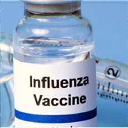 An influenza vaccine vial
