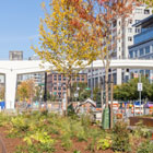 Looking at the Marion Street Pedestrian Bridge through new trees and plantings